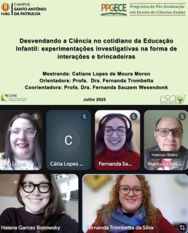 Mestrado - Catiane Moron