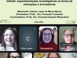 Mestrado - Catiane Moron